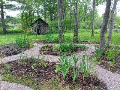 Counting Blessings is Central to Home-Scale Resilience Image